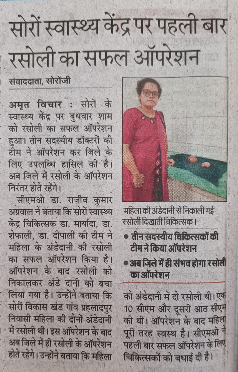 News Article